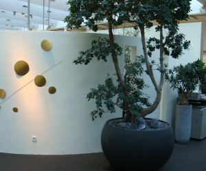 2009-06-04 19.14.52